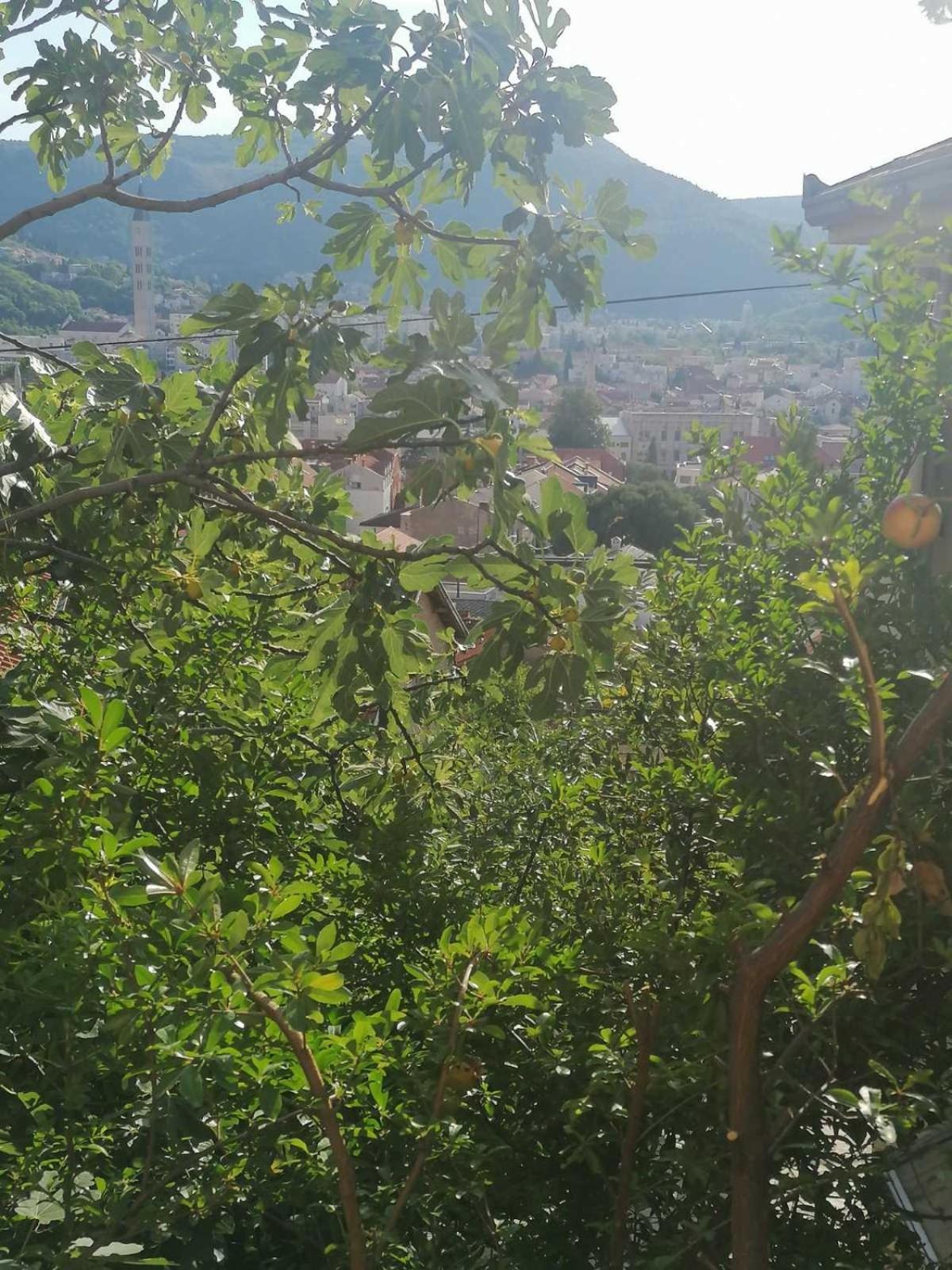 Guesthouse Panorama Mostar Pokój zdjęcie